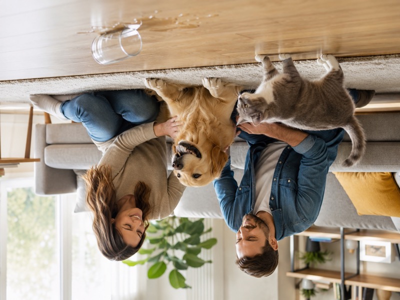 Familie mit Hund und Katze in sicherer Alltagssituation zuhause